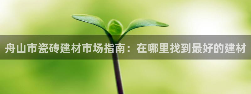 杏鑫官网最新信息新闻