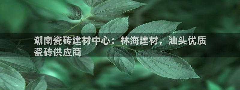 杏鑫娱乐官网登录