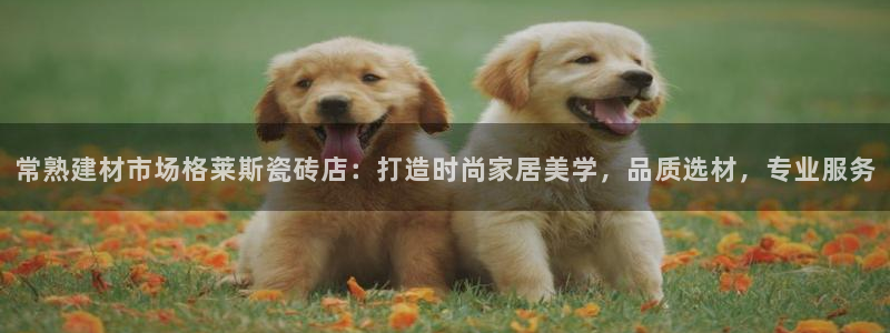杏鑫平台招商怎么样啊