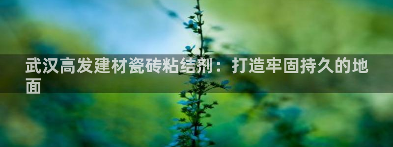 杏鑫娱乐官网首页