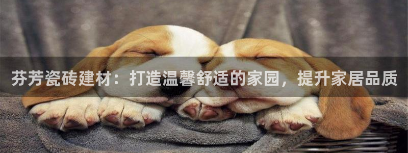 杏鑫平台怎么样黑钱吗安全吗可靠吗