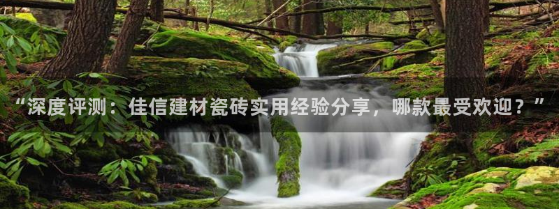 杏鑫平台下载安装